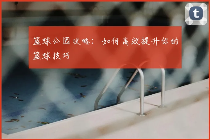 篮球公园攻略:如何高效提升你的篮球技巧